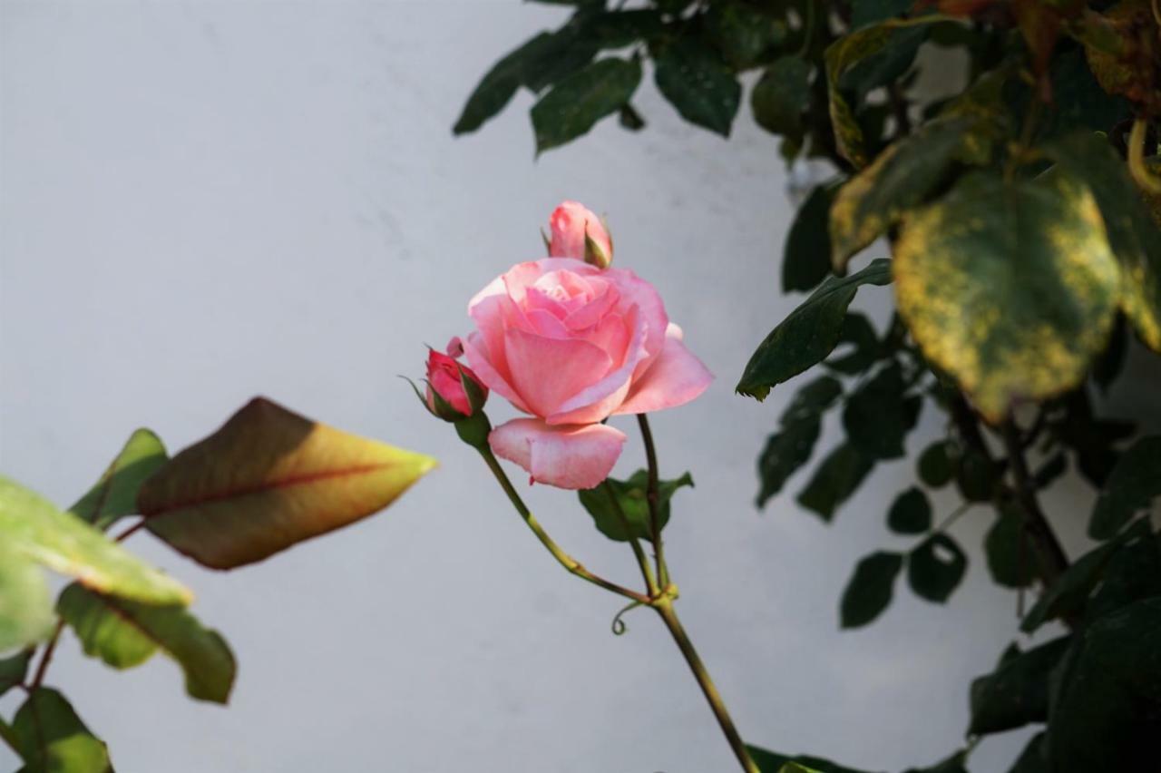 Casa Vanni 베이다 외부 사진